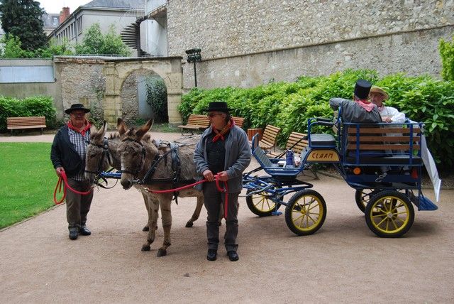 Orelans 8 mai 2014 (48).jpg